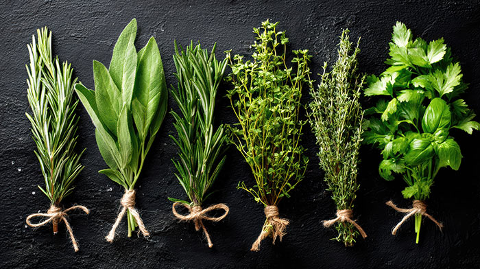 herbs 700